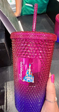 Starbucks Disneyland Paris Tumbler