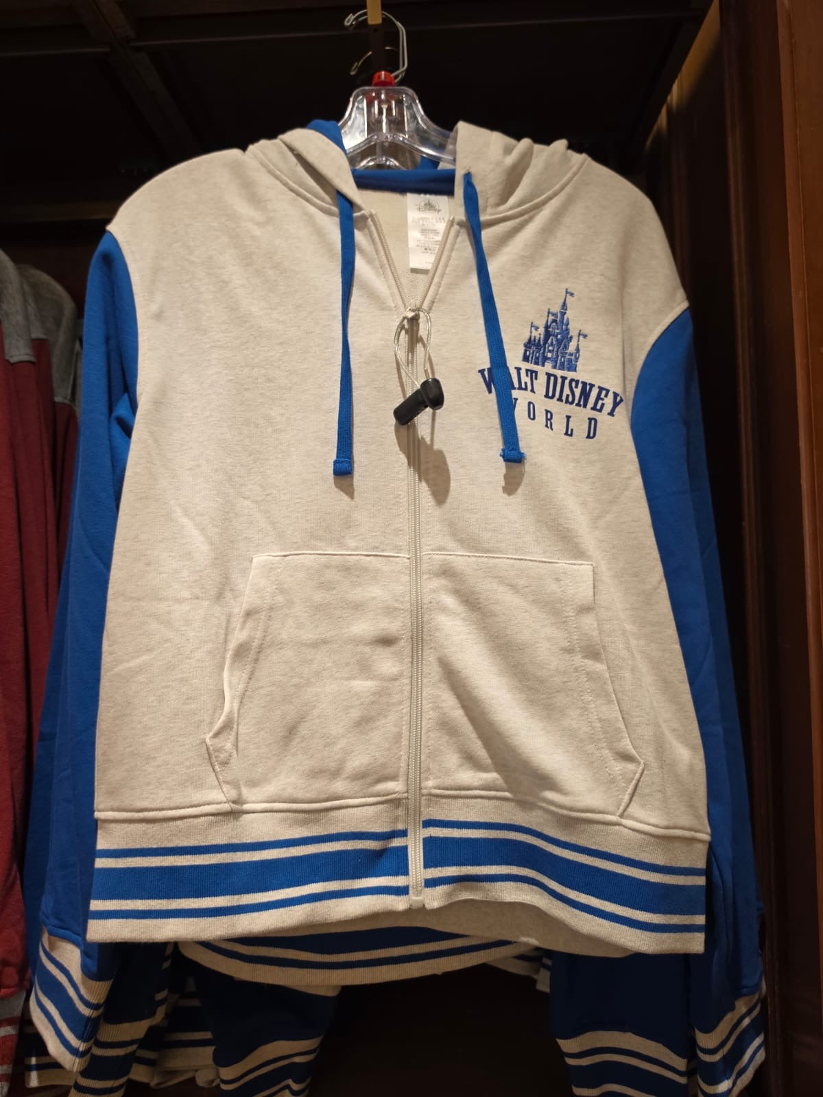 Walt Disney World Hoodie