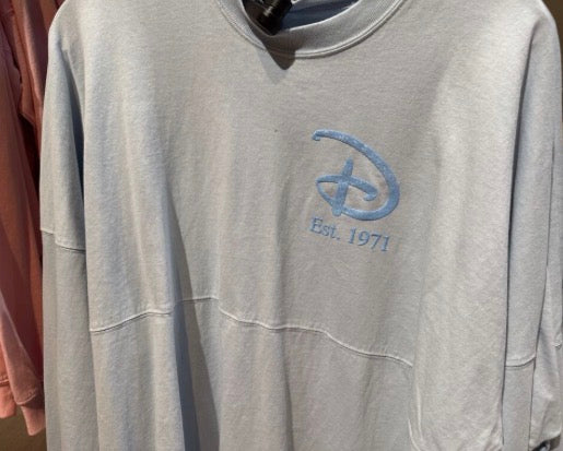 Walt Disney World Cinderella Spirit Jersey