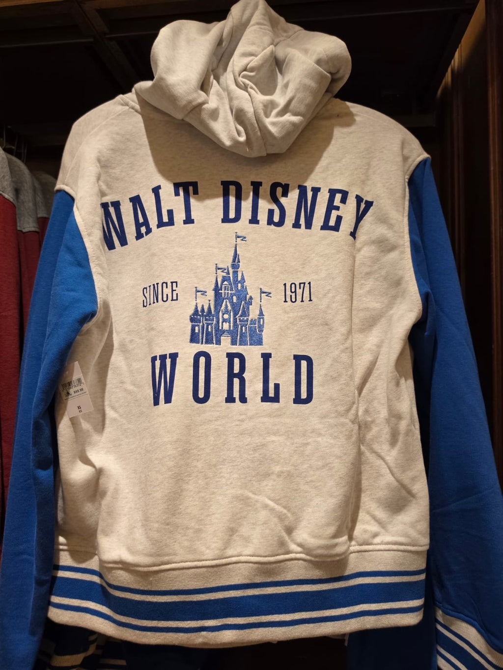 Walt Disney World Hoodie