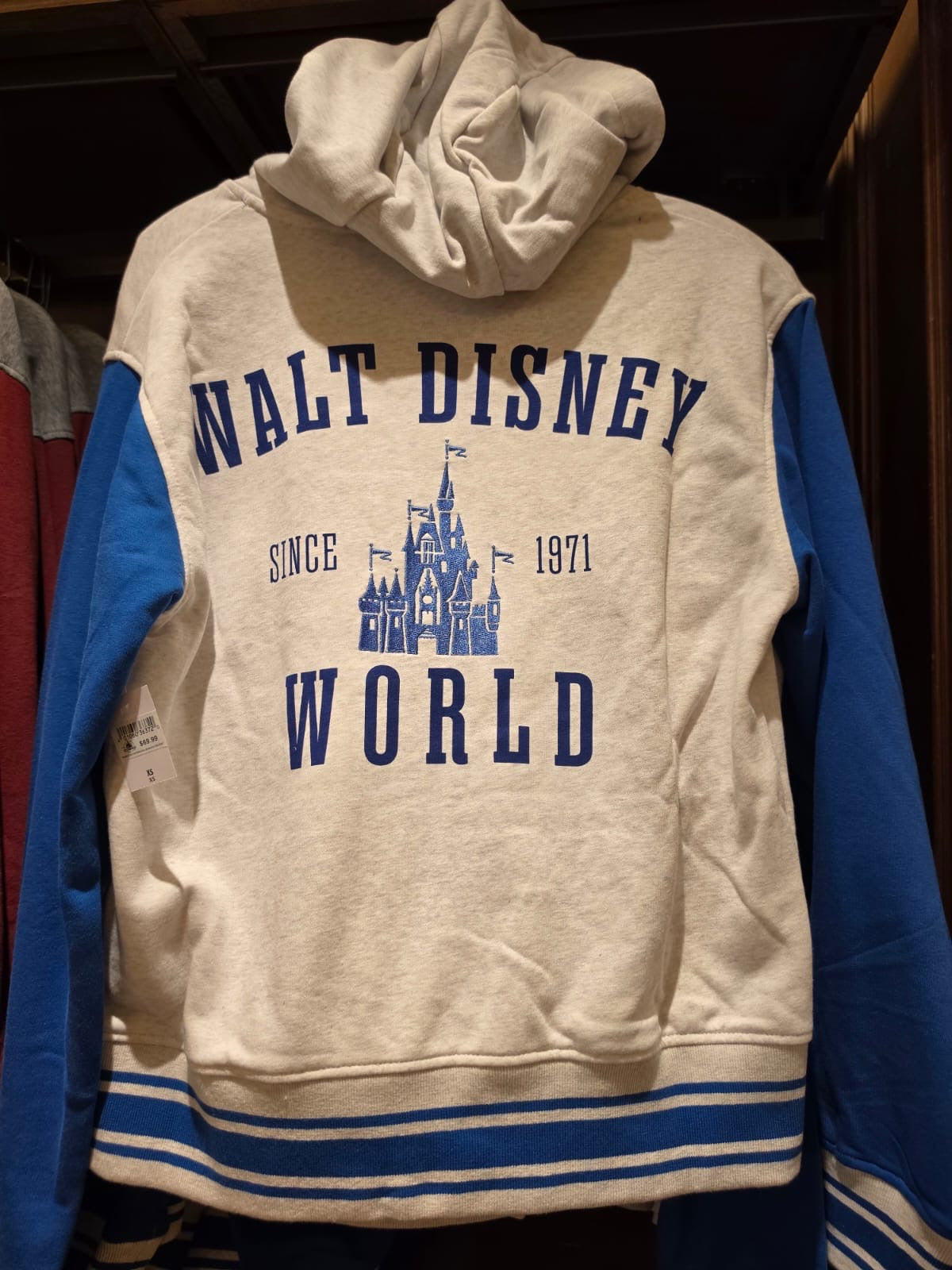 Walt Disney World Hoodie