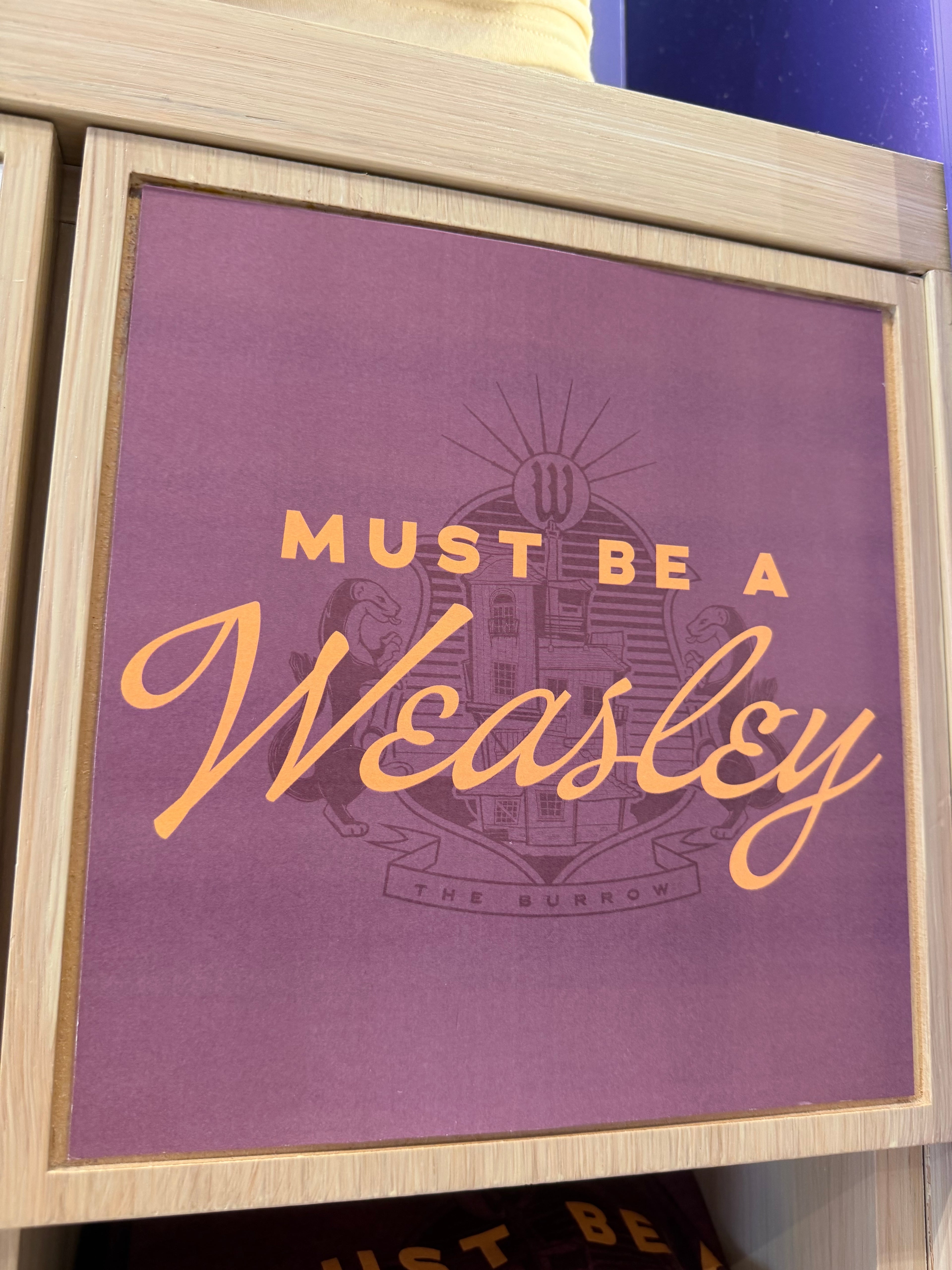 Must Be A Weasley Harry Potter T-Shirt