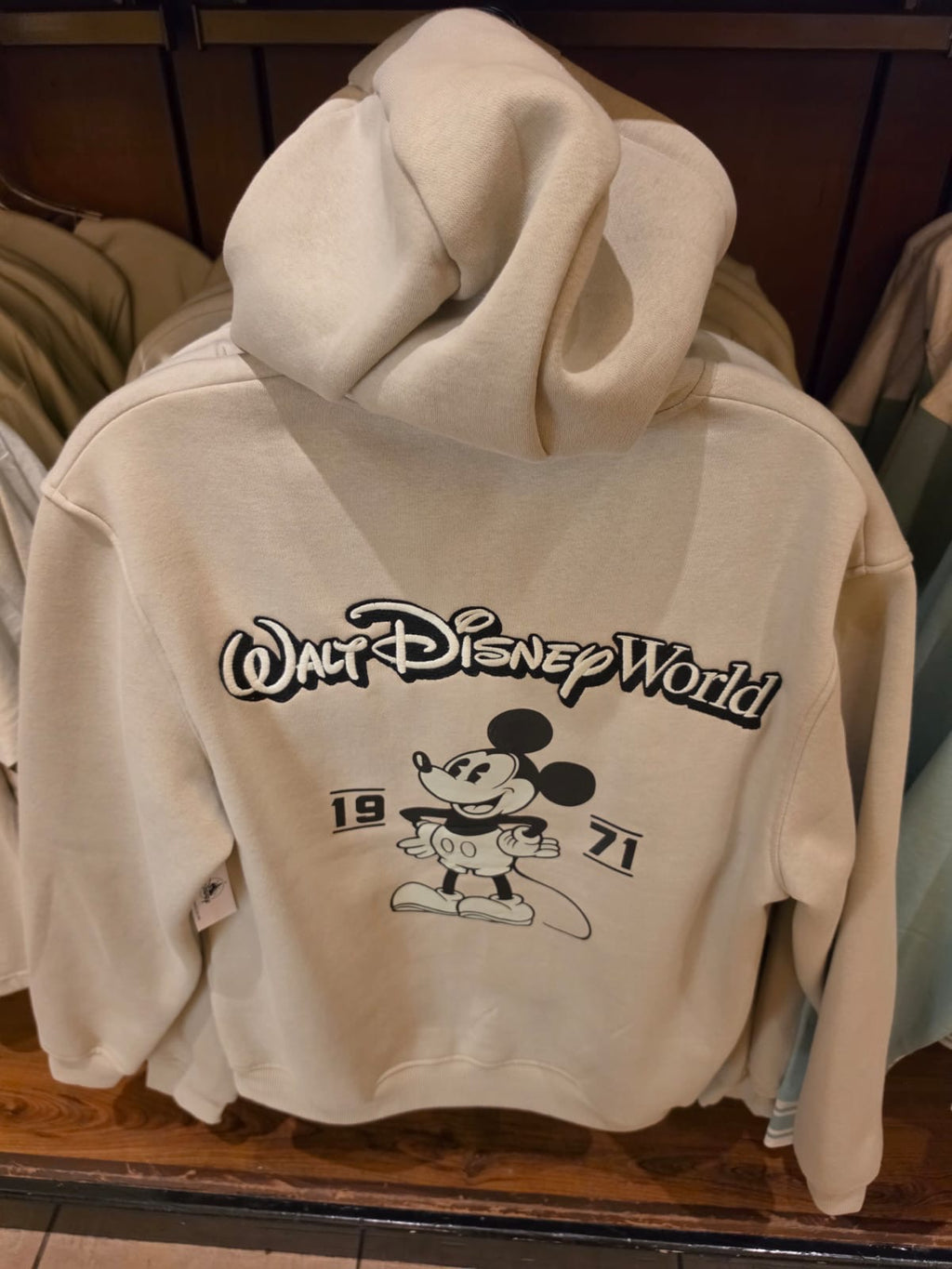 Walt Disney World Mickey Hoodie
