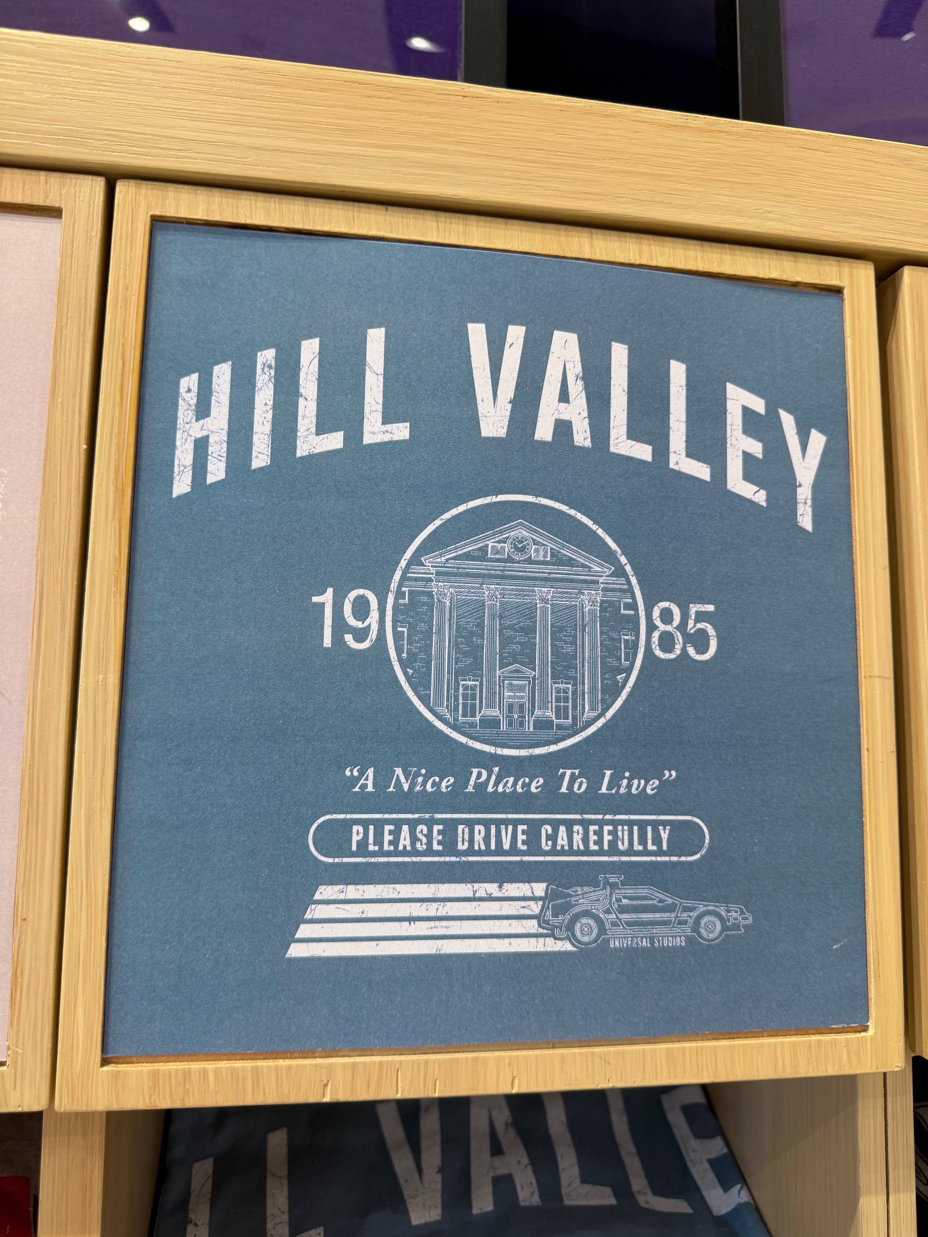 Light Blue “Hill Valley” with “A Nice Place to Live” Town Motto and The DeLorean T Shirt