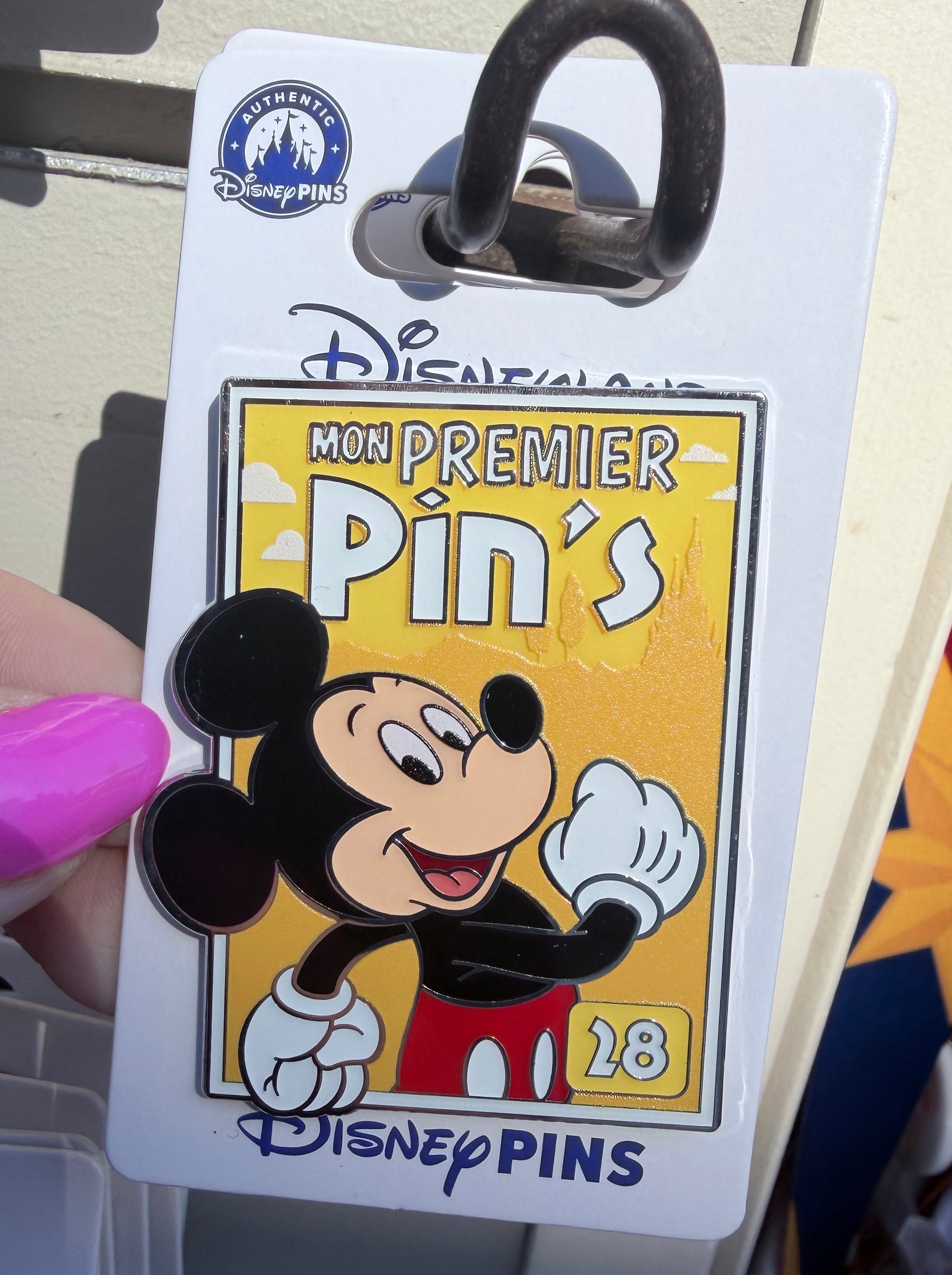 Mickey 28 Pin