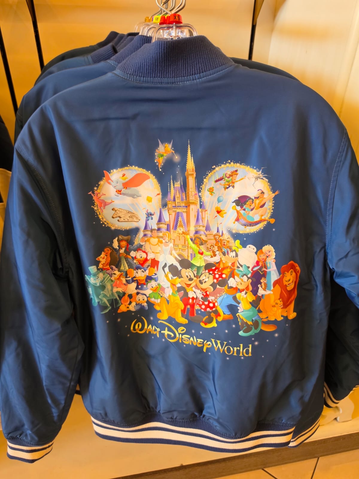 Walt Disney World Jacket