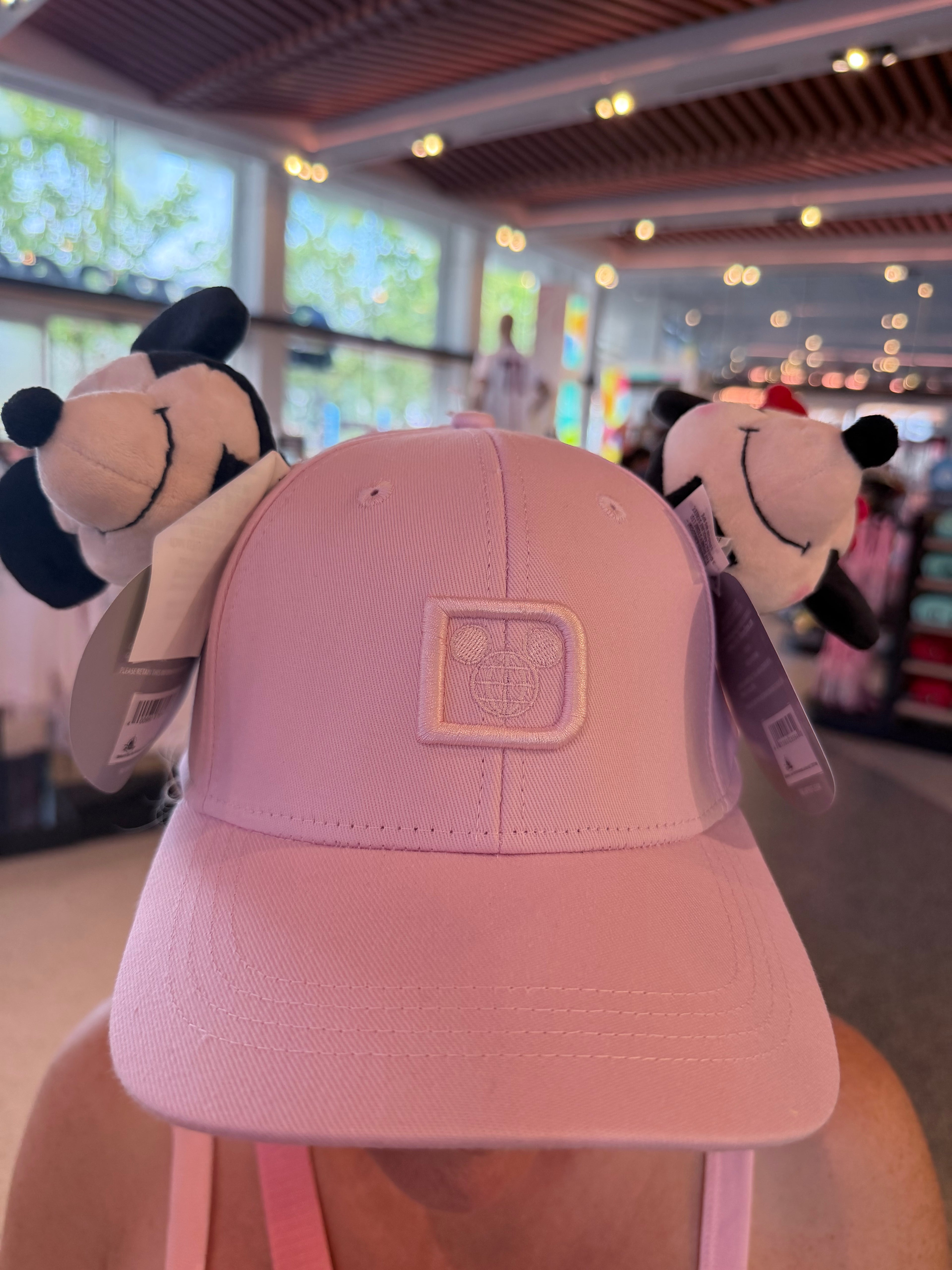 Create your own Hat - Characters Sold Separately