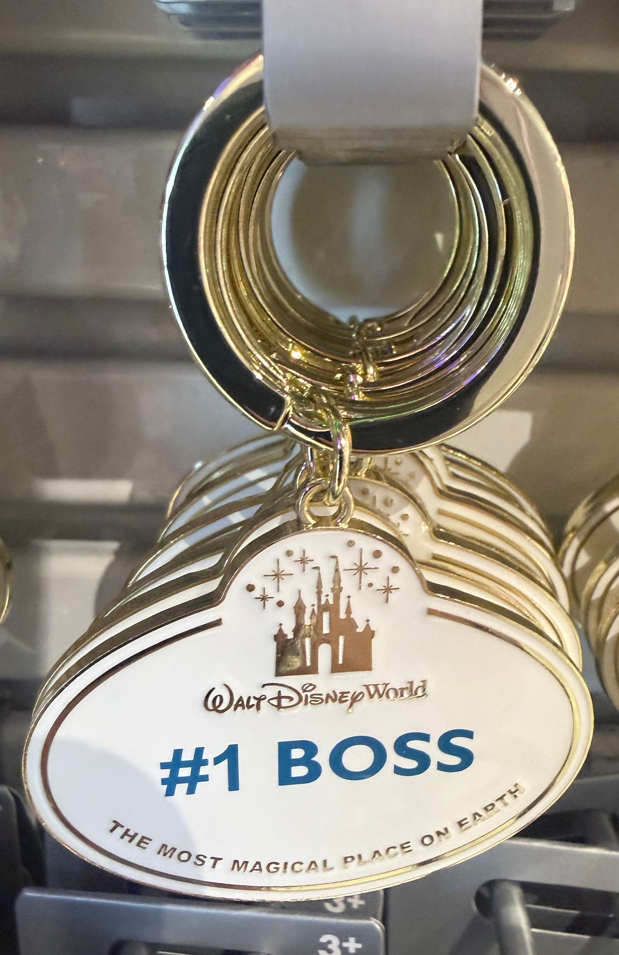 Walt Disney World Cast Member Keyring - 11 Styles Available