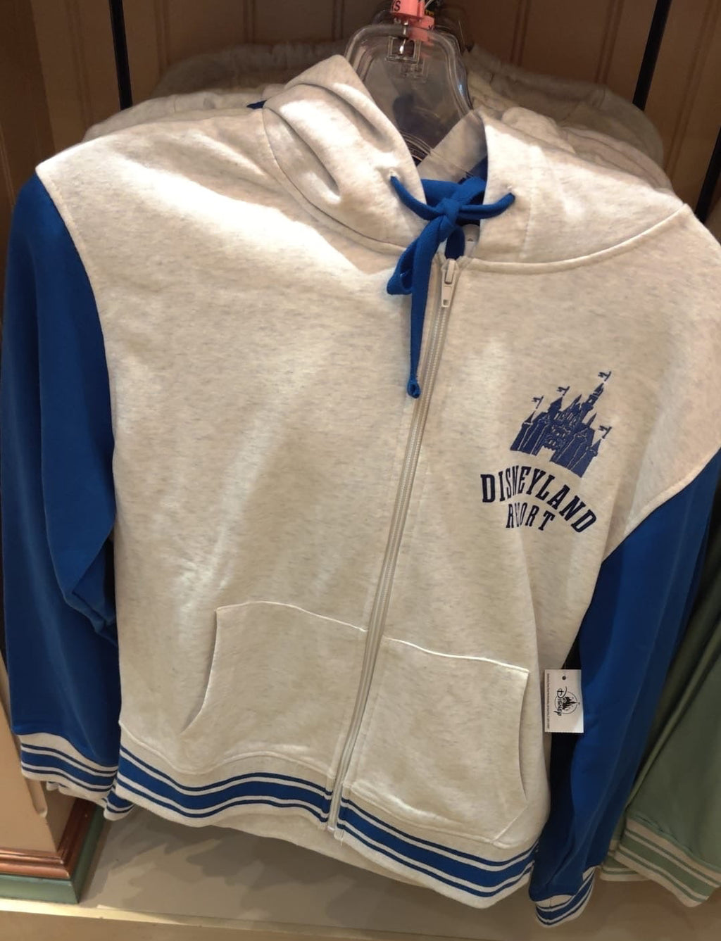 Disneyland Resort Hoodie - 3 Styles Available