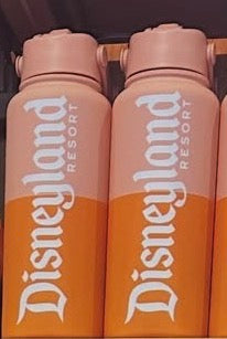 Disneyland Logo Mania Water Bottle