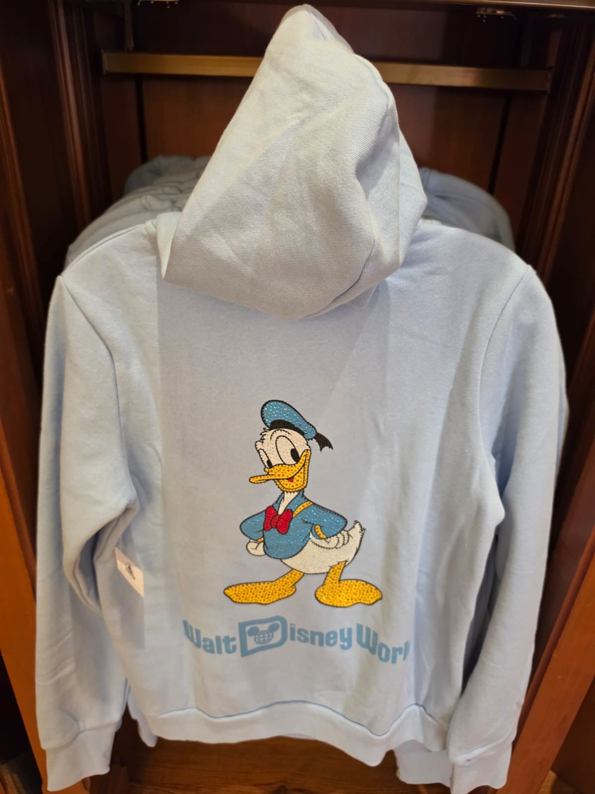 Walt Disney World - Mickey, Donald or Daisy Hoodie