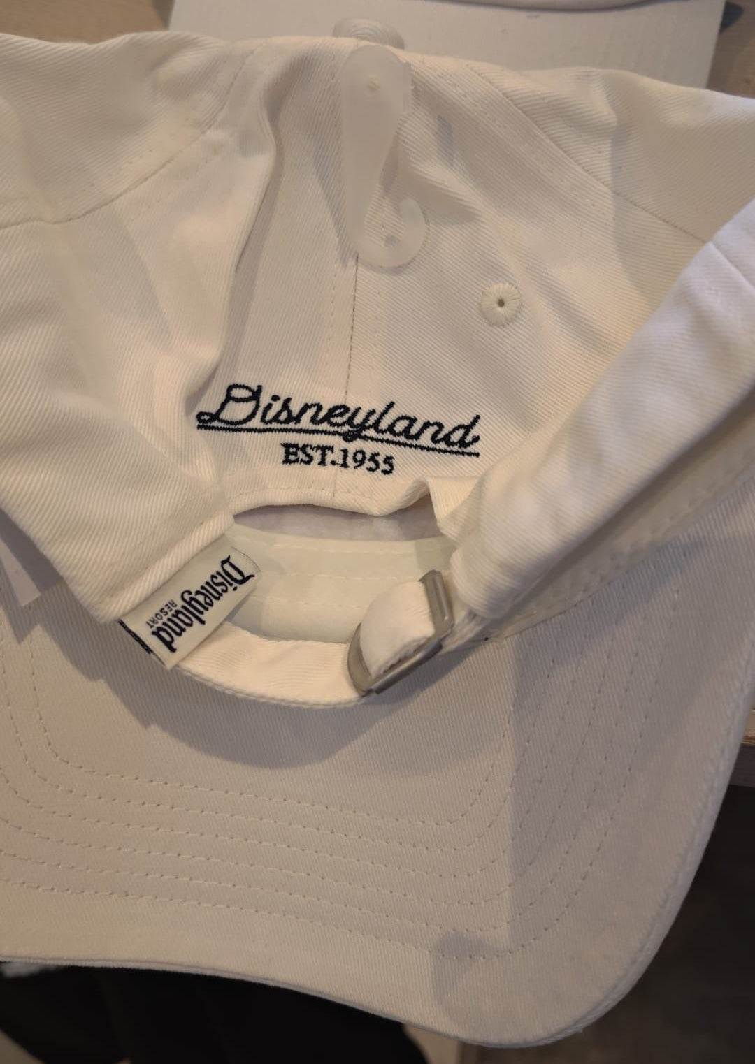 Disneyland Hat