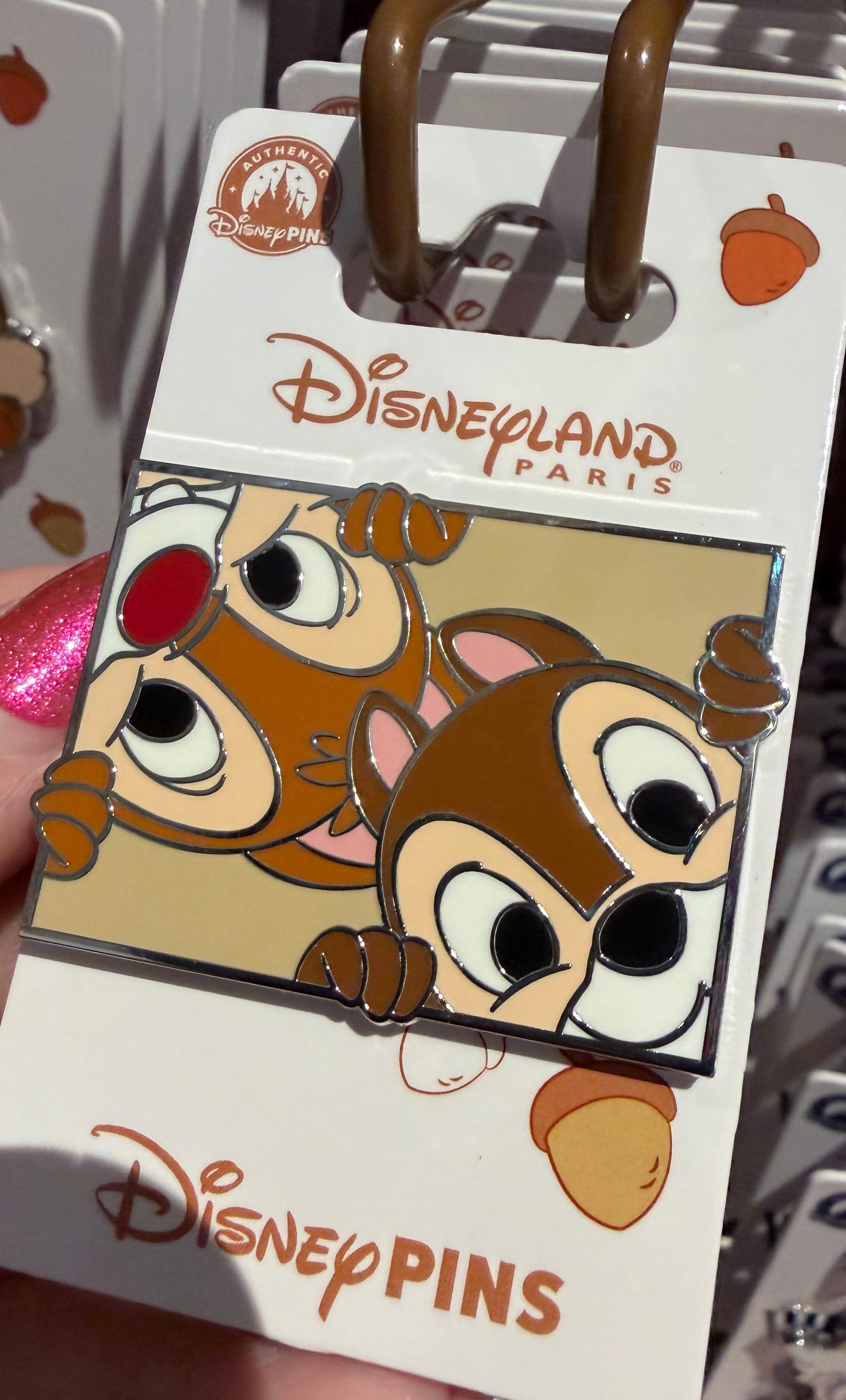 Chip & Dale Pin