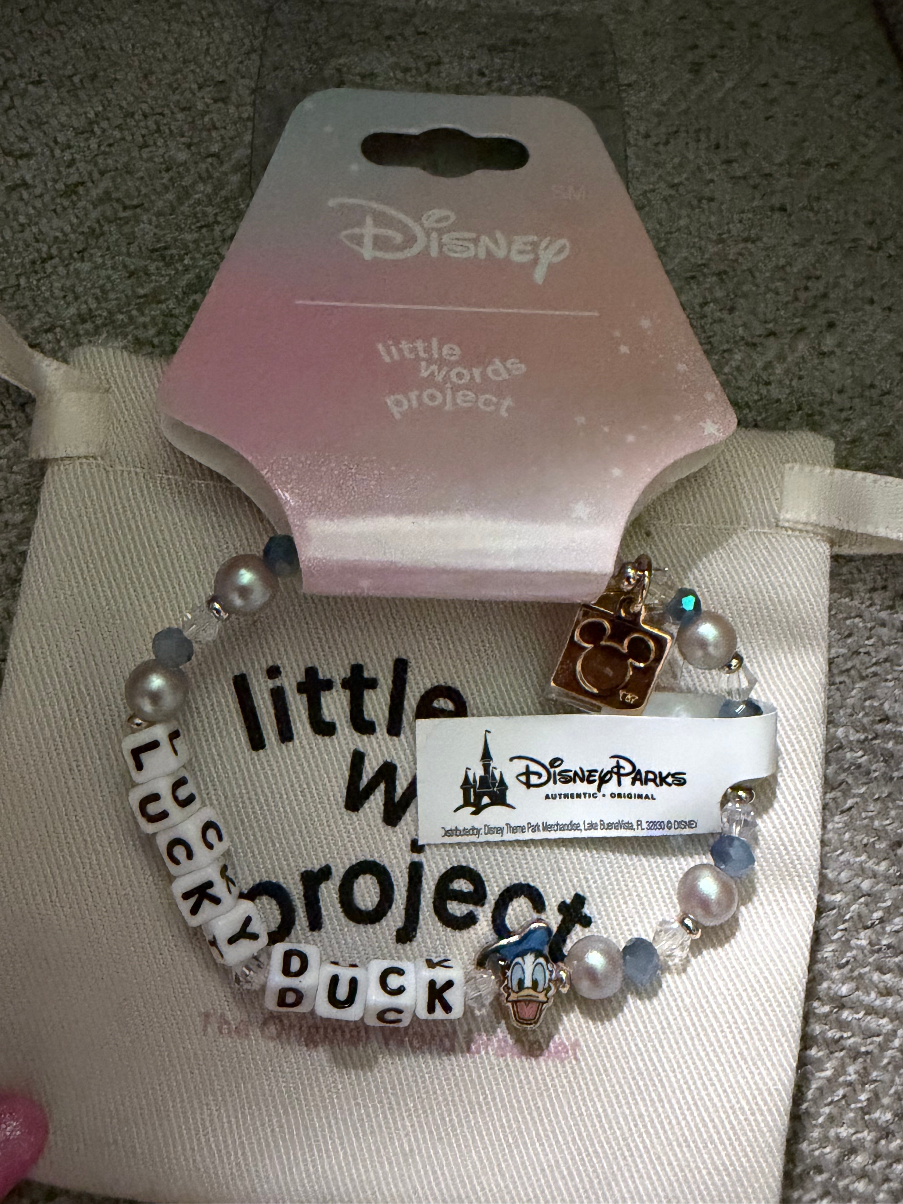 Disney Little Worlds Project - Lucky Duck
