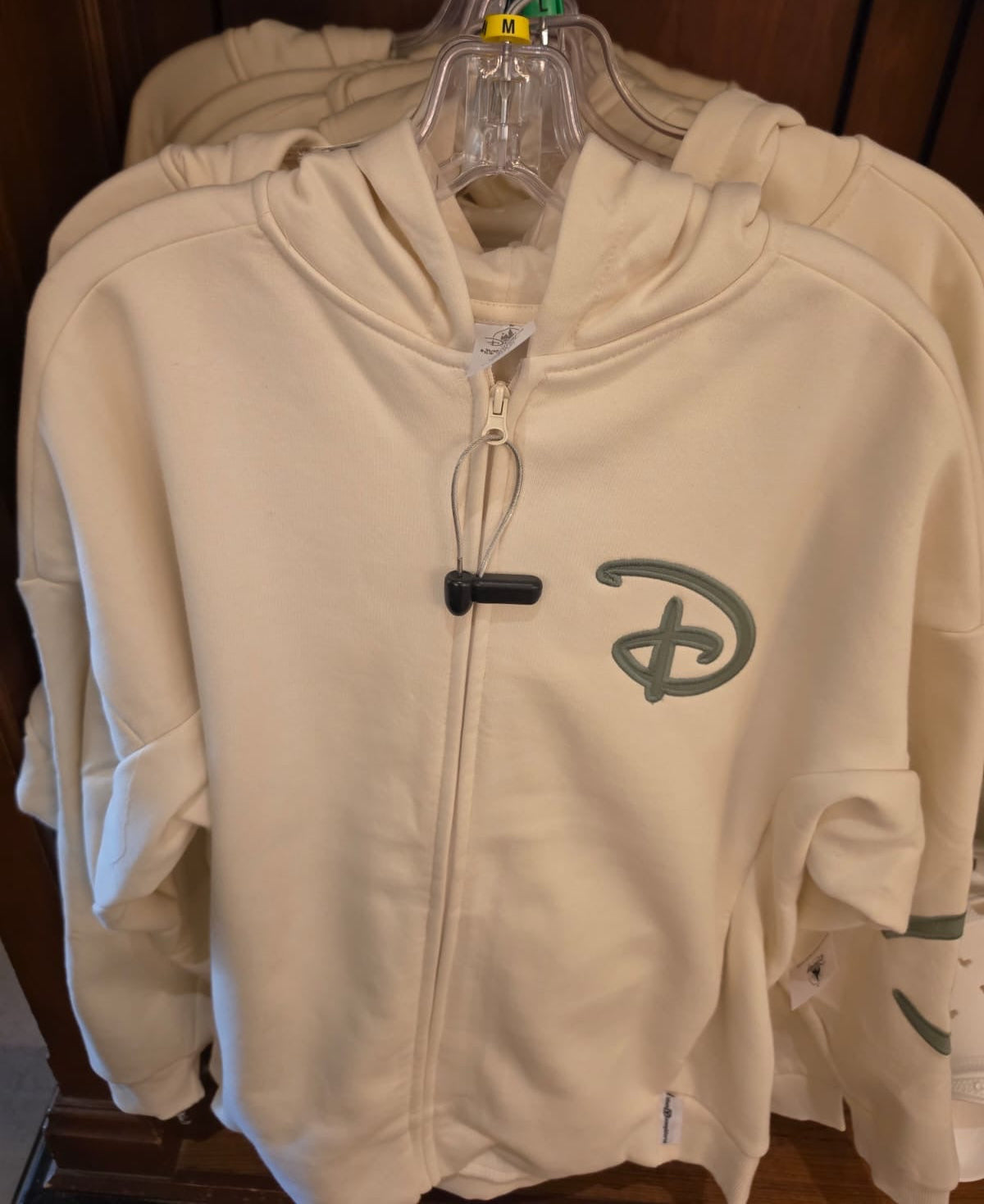 Walt Disney World Hoodie (in 4 colours)