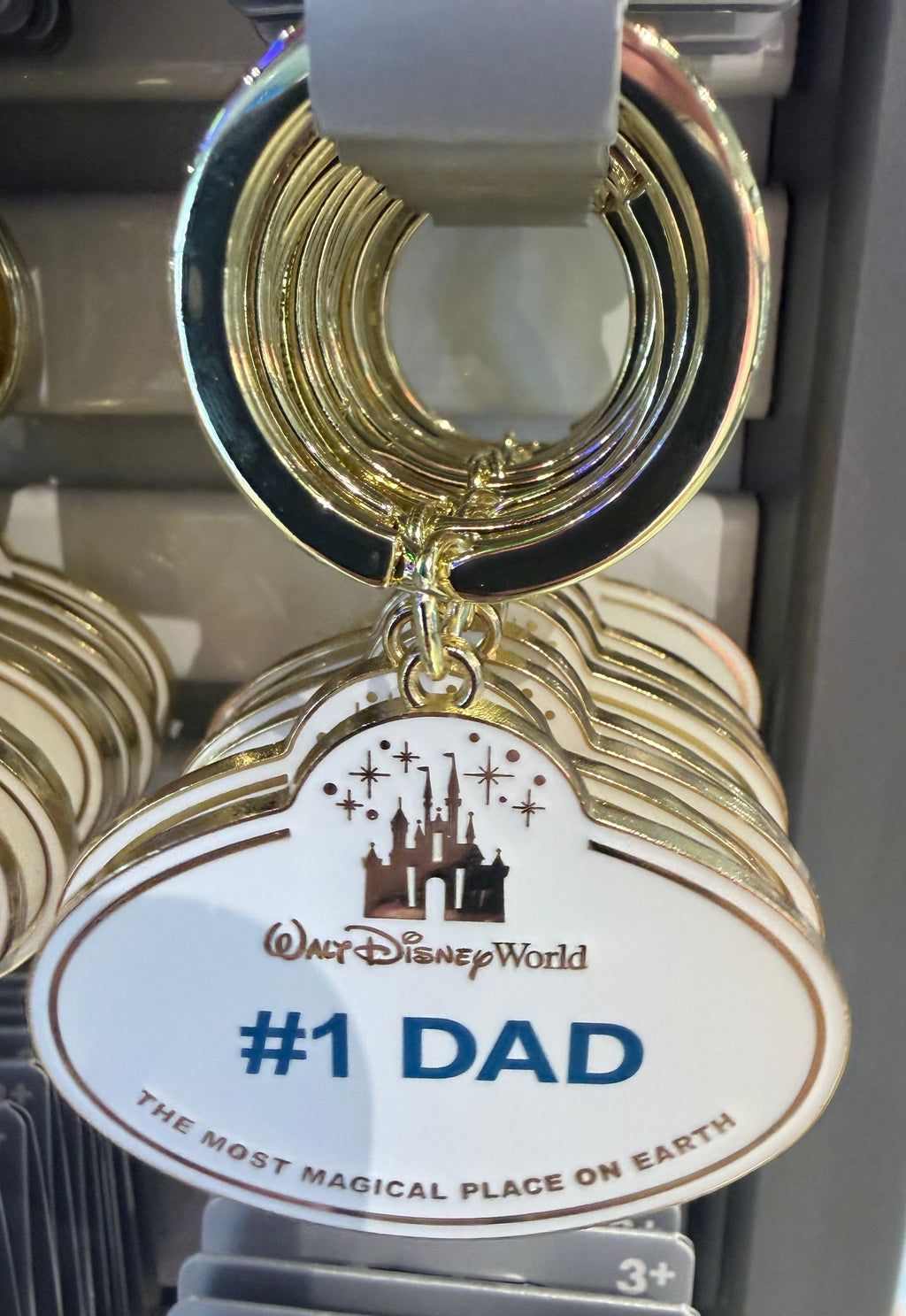 Walt Disney World Cast Member Keyring - 11 Styles Available