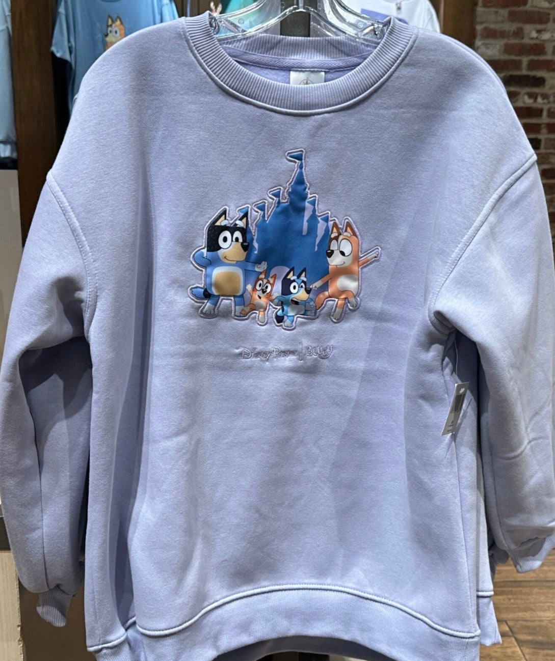 Bluey Adult Sweatshirt