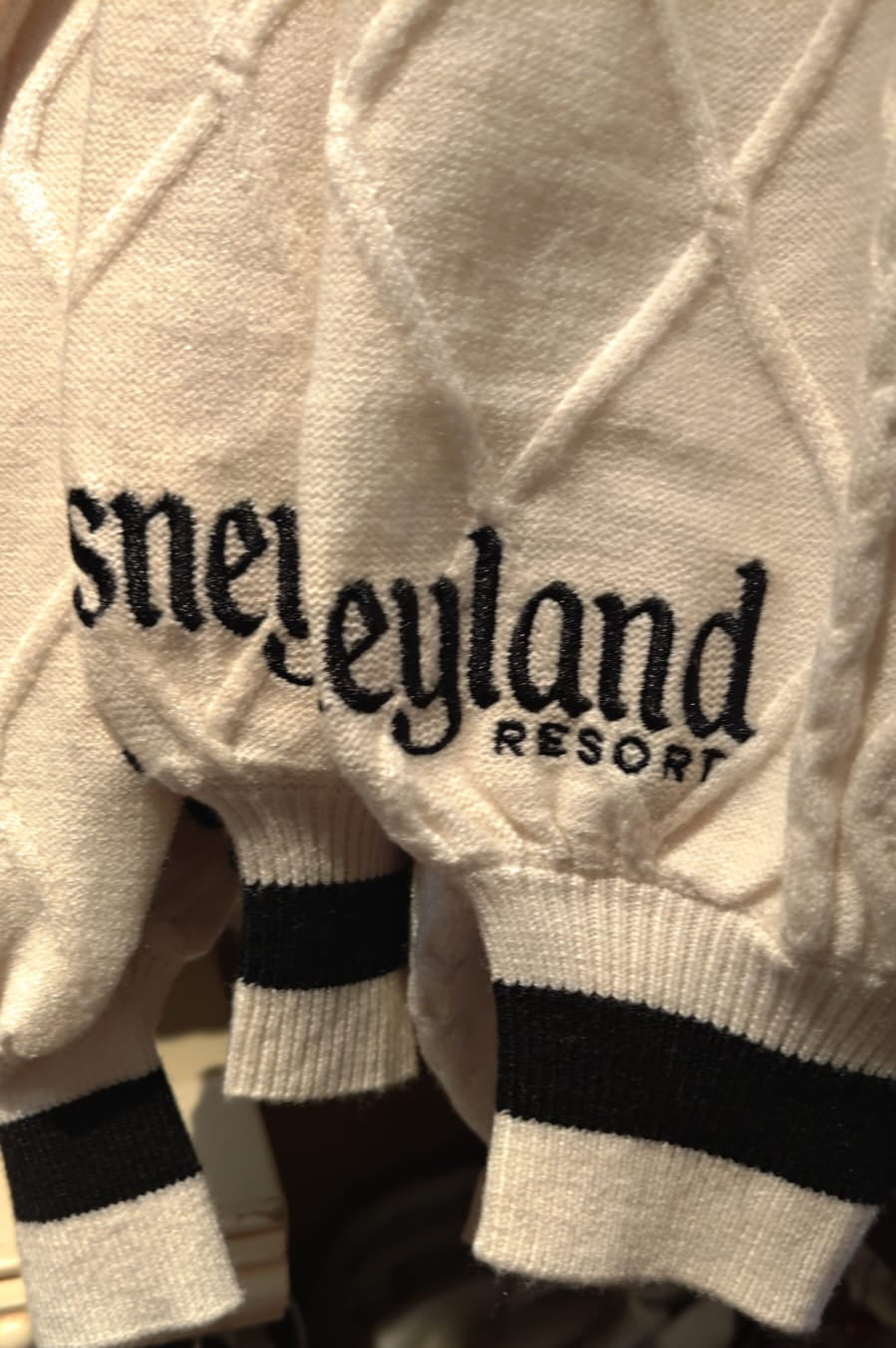 Disneyland Resort “D” Jumper
