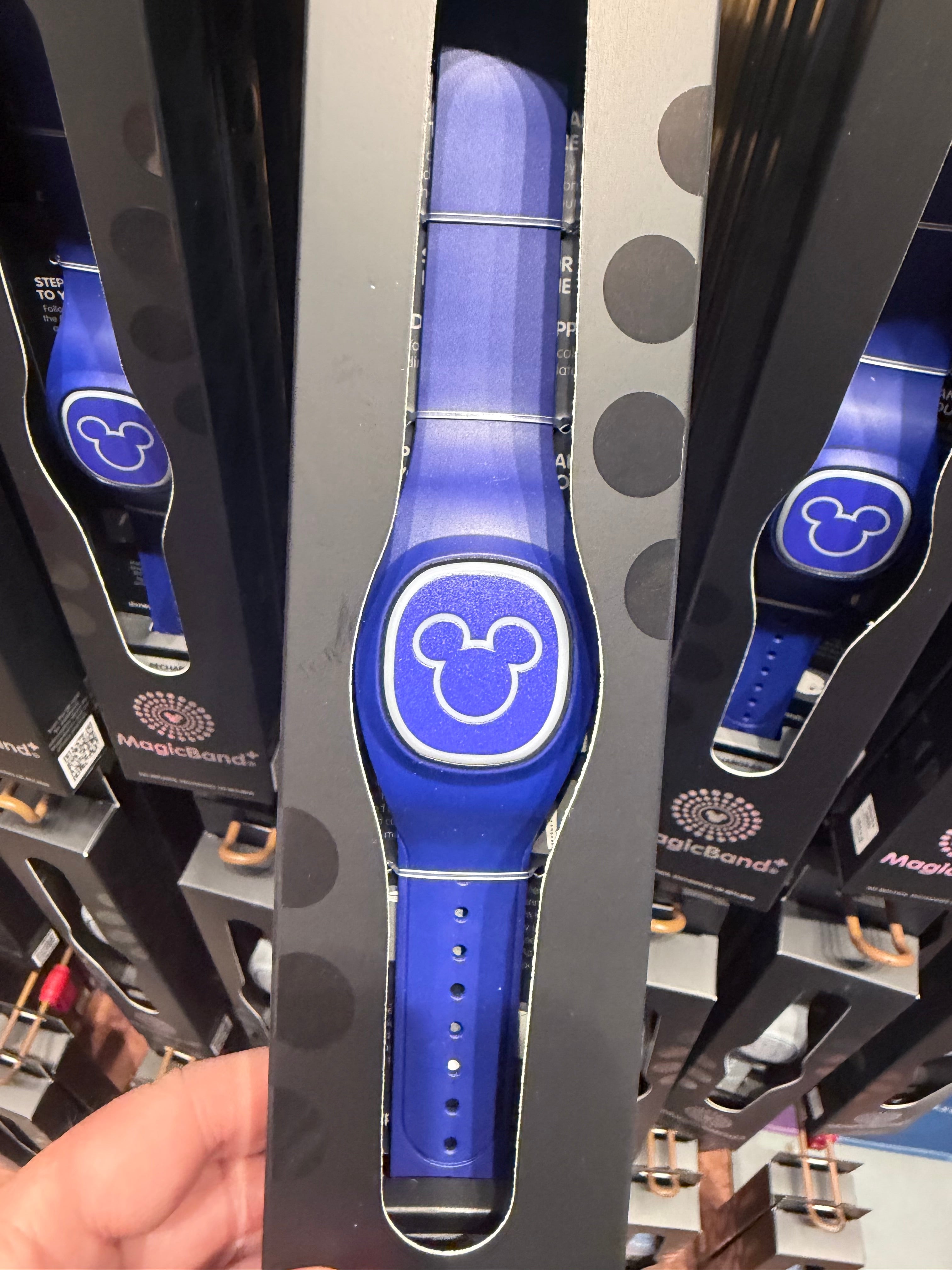 Blue MagicBand+