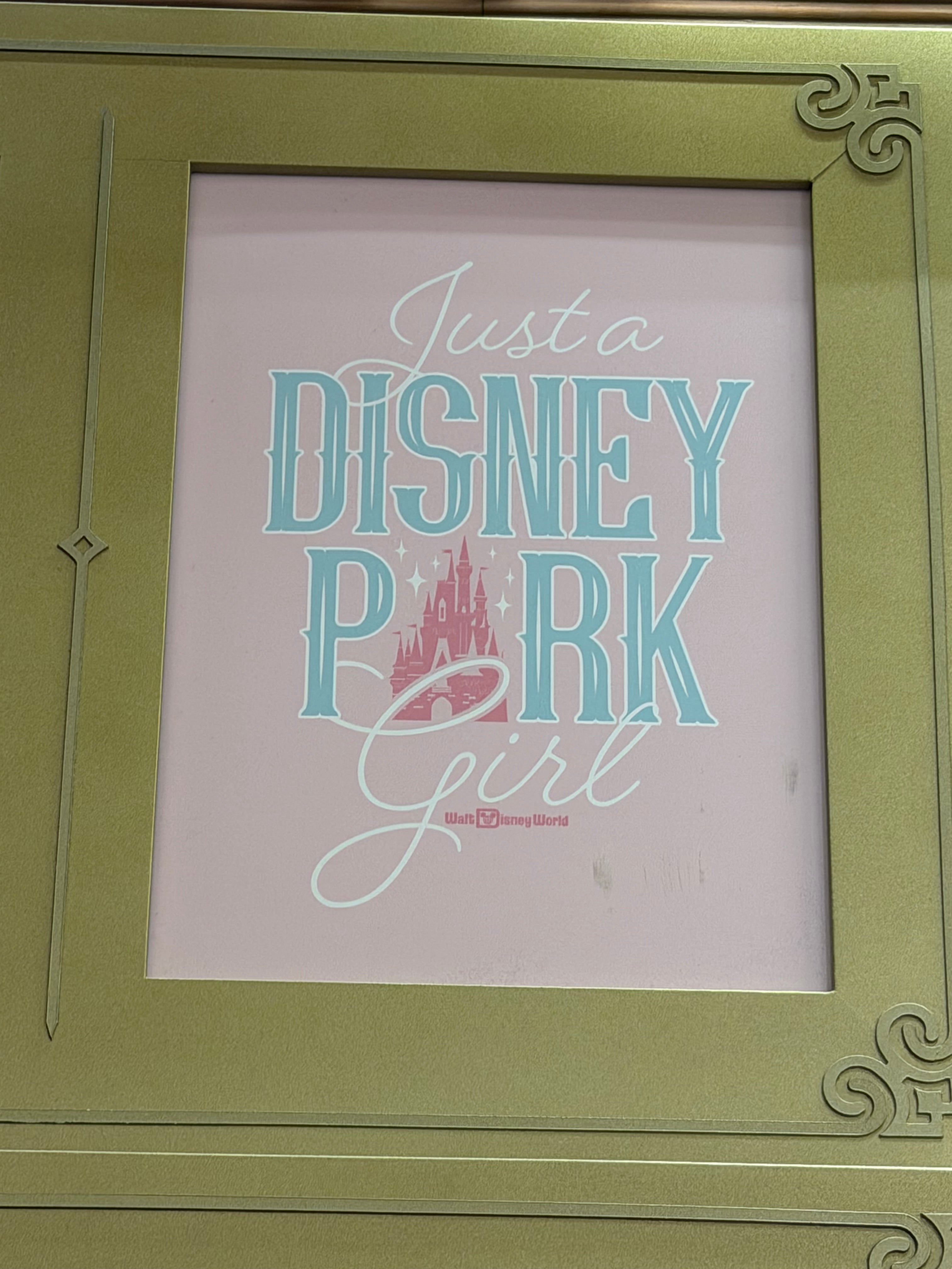 Walt Disney World Character T-shirts 31 Designs