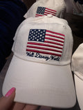Walt Disney World USA Hat