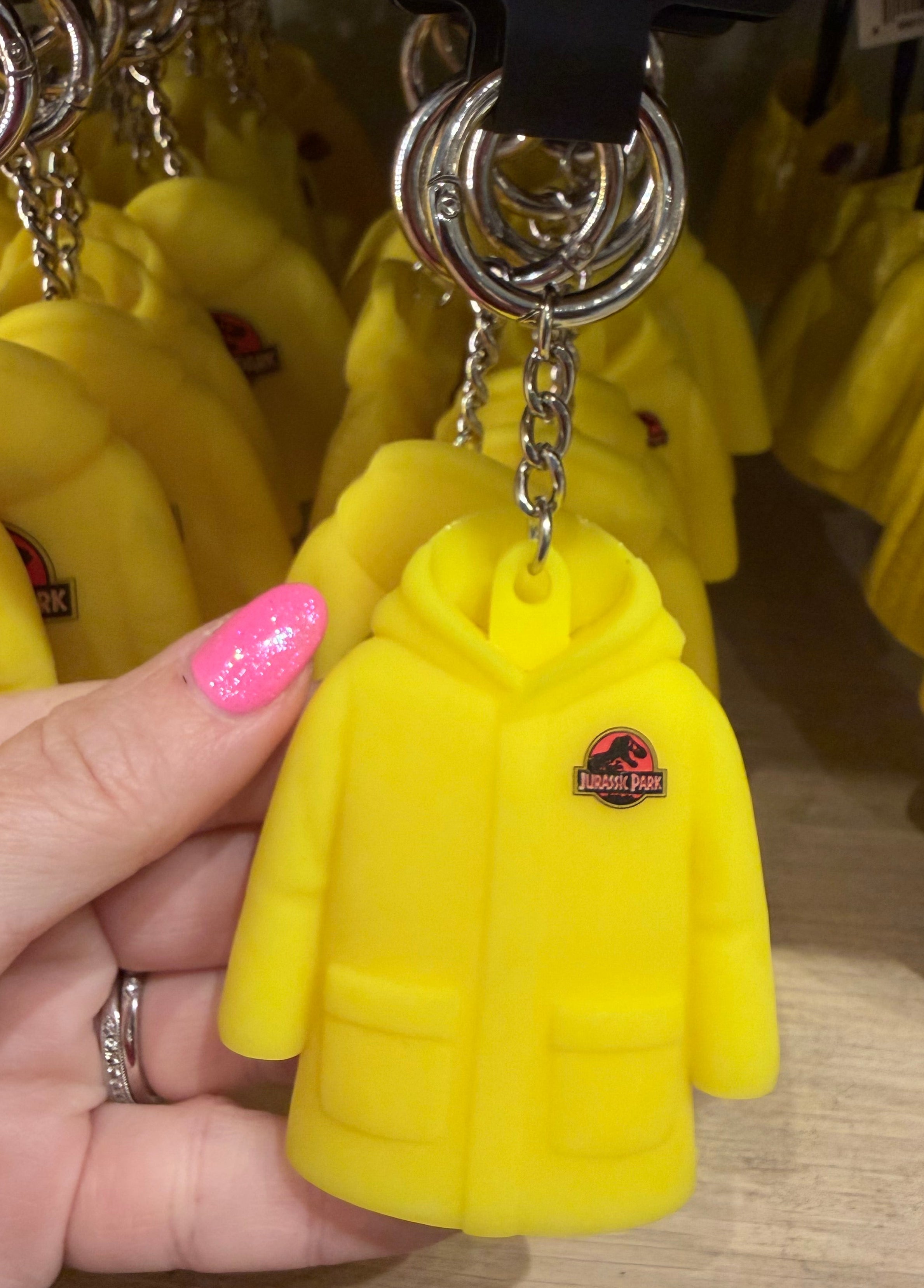 Jurassic Park Keyring