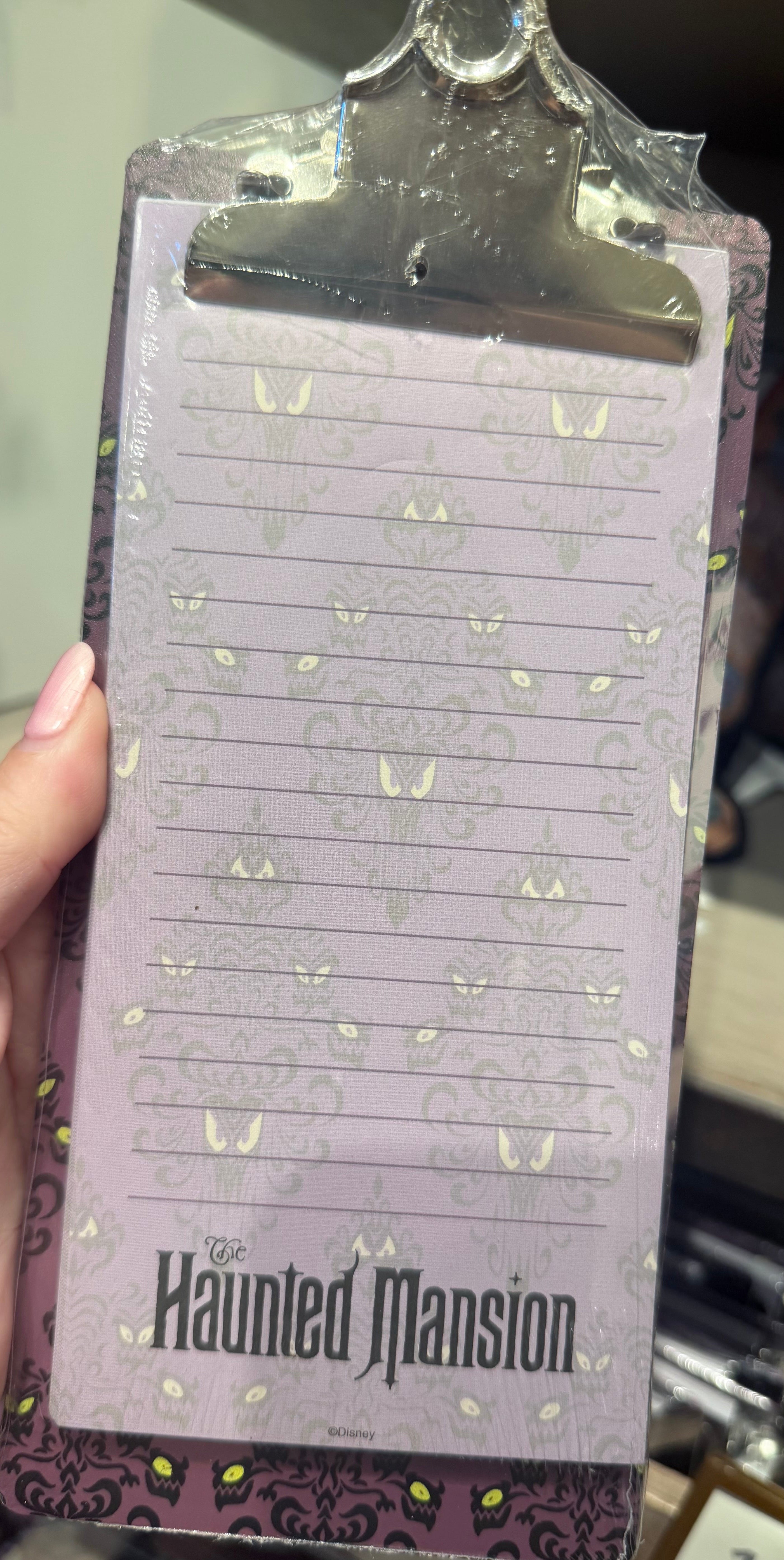 Haunted Mansion Mini Clipboard With Notepad