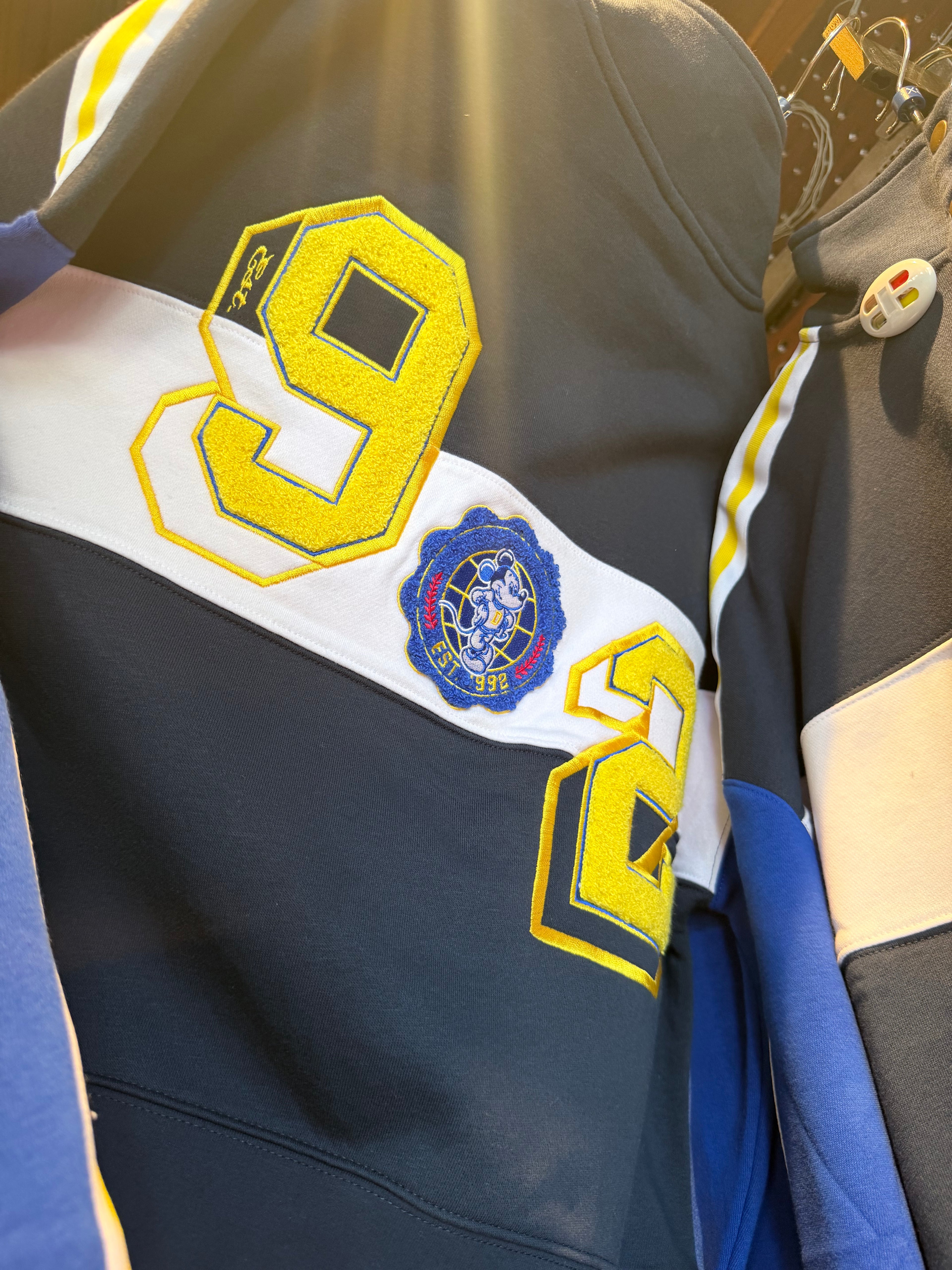 Disneyland Paris Crest Retro Top