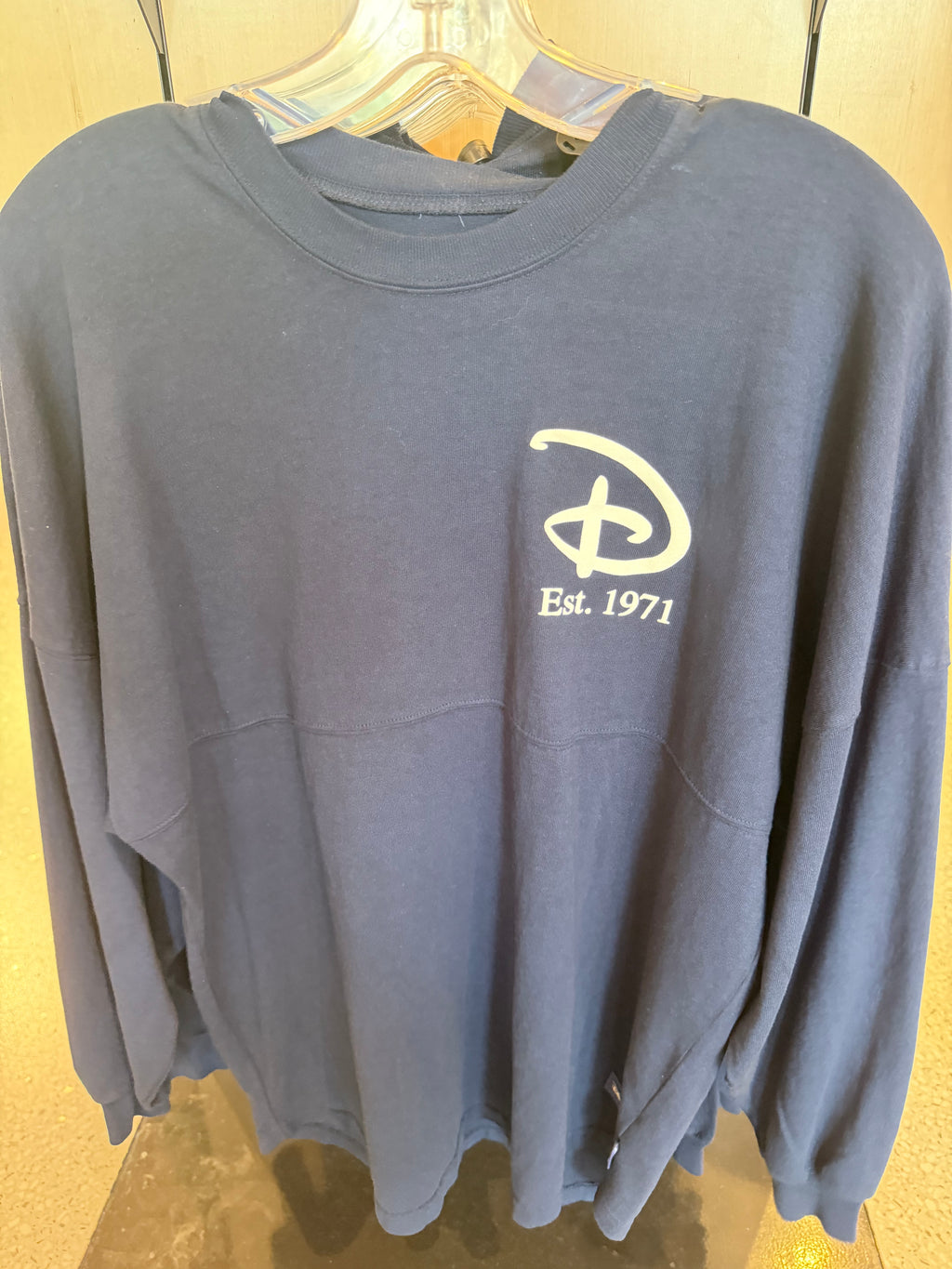 Walt Disney World Blue Spirit Jersey
