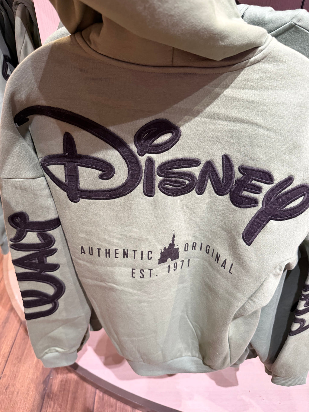 Walt Disney World Hoodie (in 4 colours)