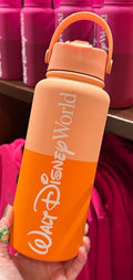 Walt Disney World Logo Mania Water Bottle