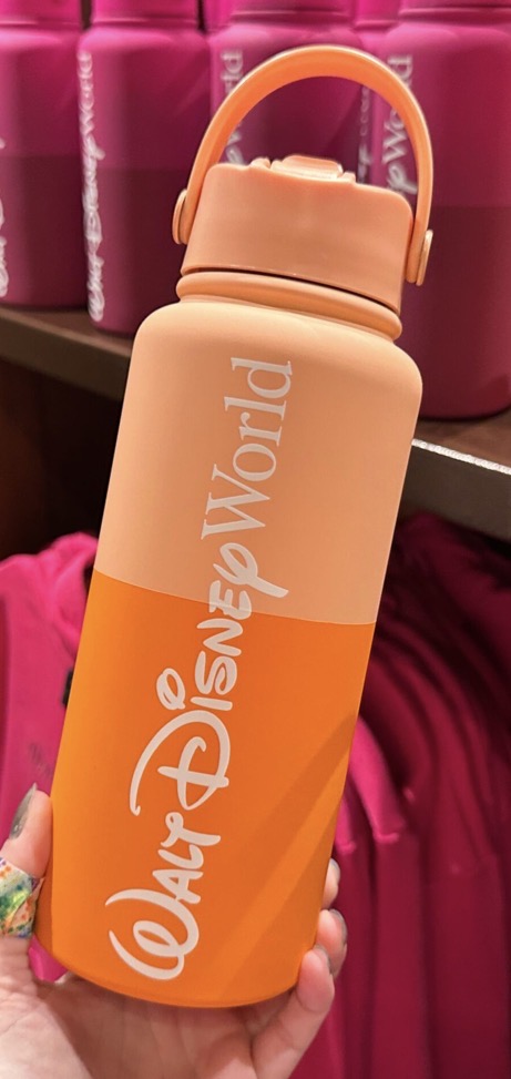Walt Disney World Logo Mania Water Bottle
