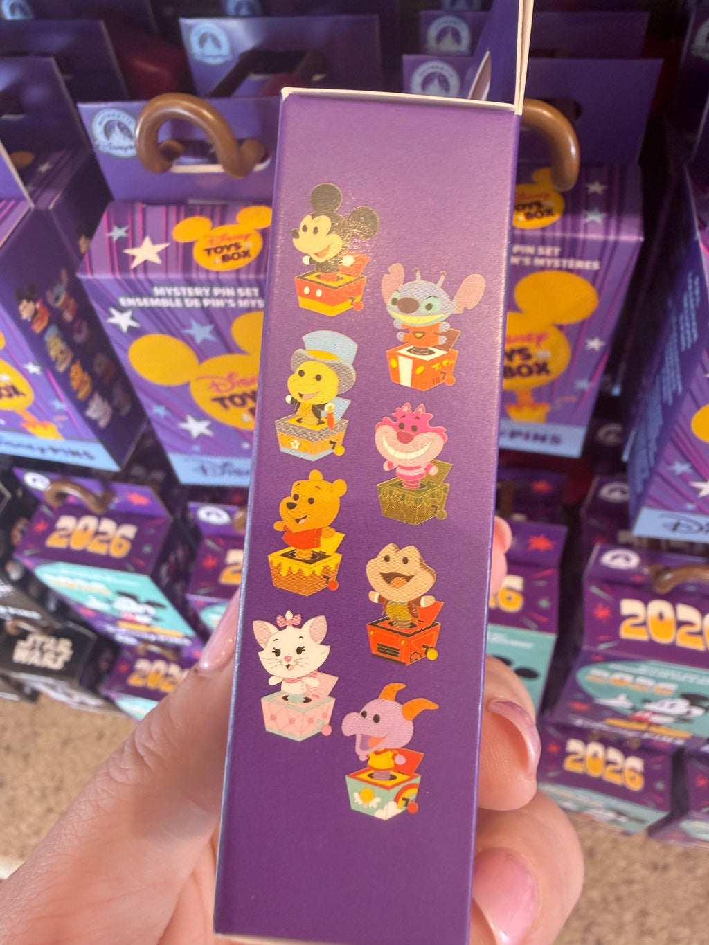 Mystery Toys In A Box Pin Set