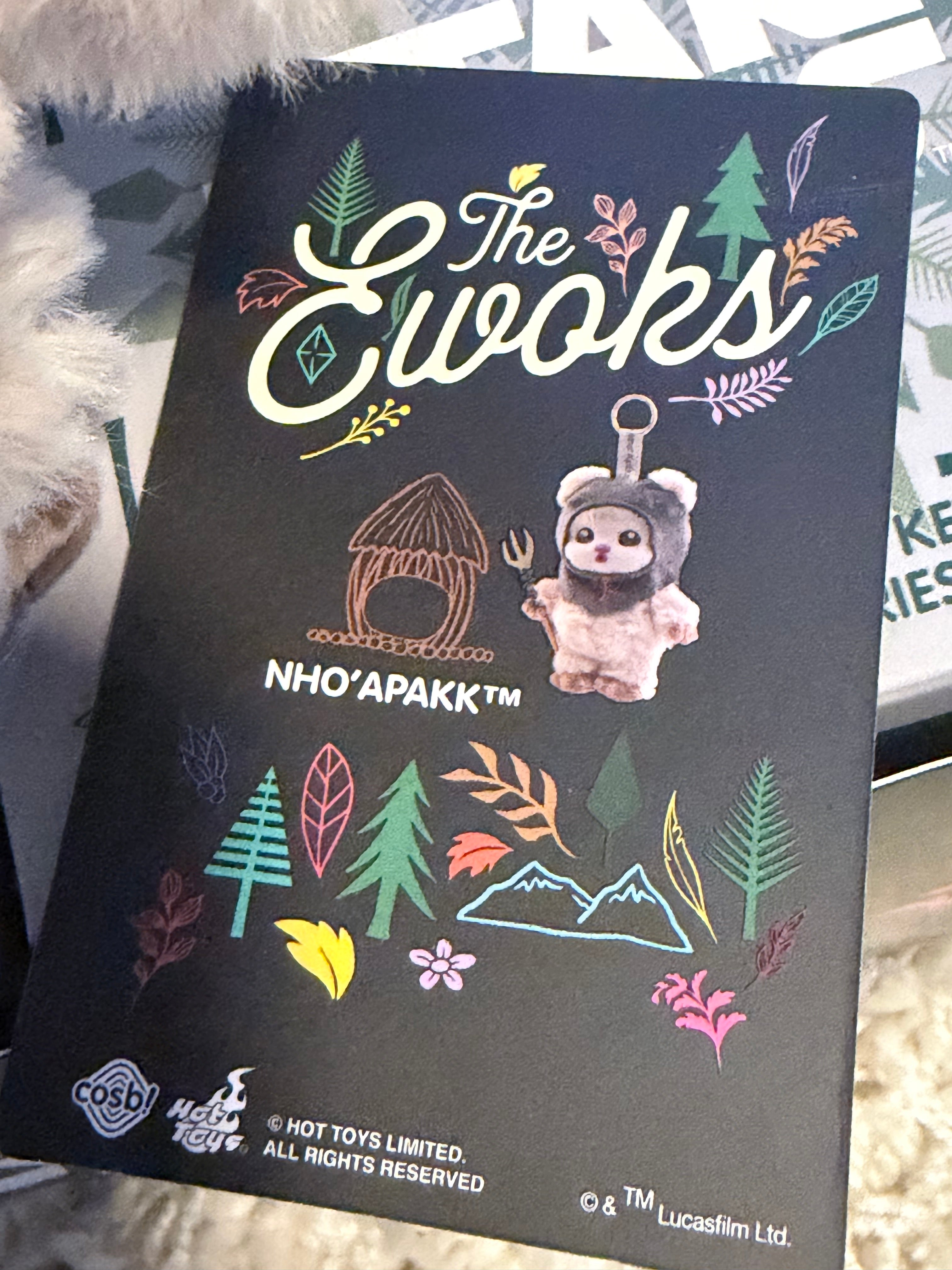 Ewok Cosbi Plush Keychain Series 2 - NHO’APAKK