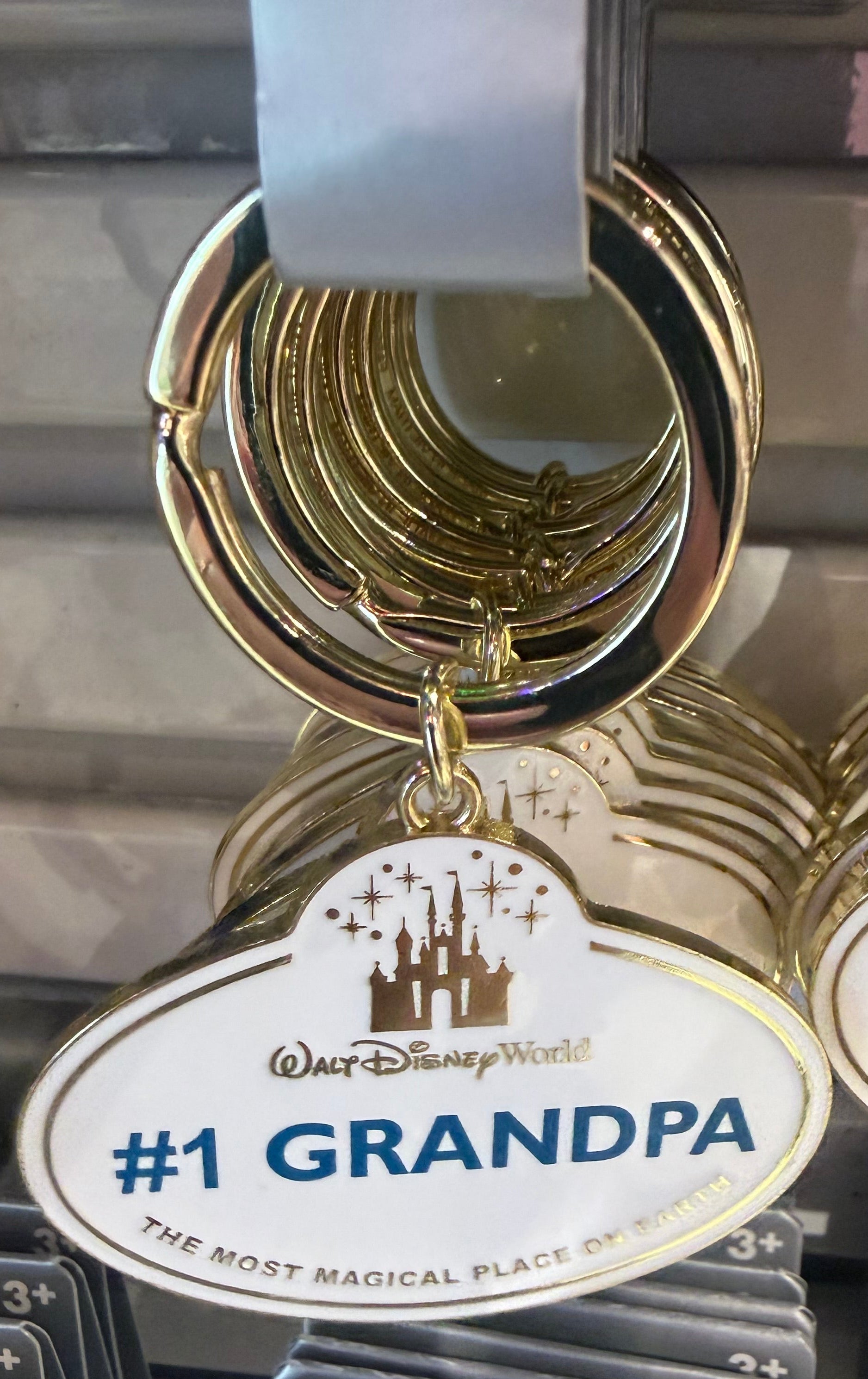 Walt Disney World Cast Member Keyring - 11 Styles Available