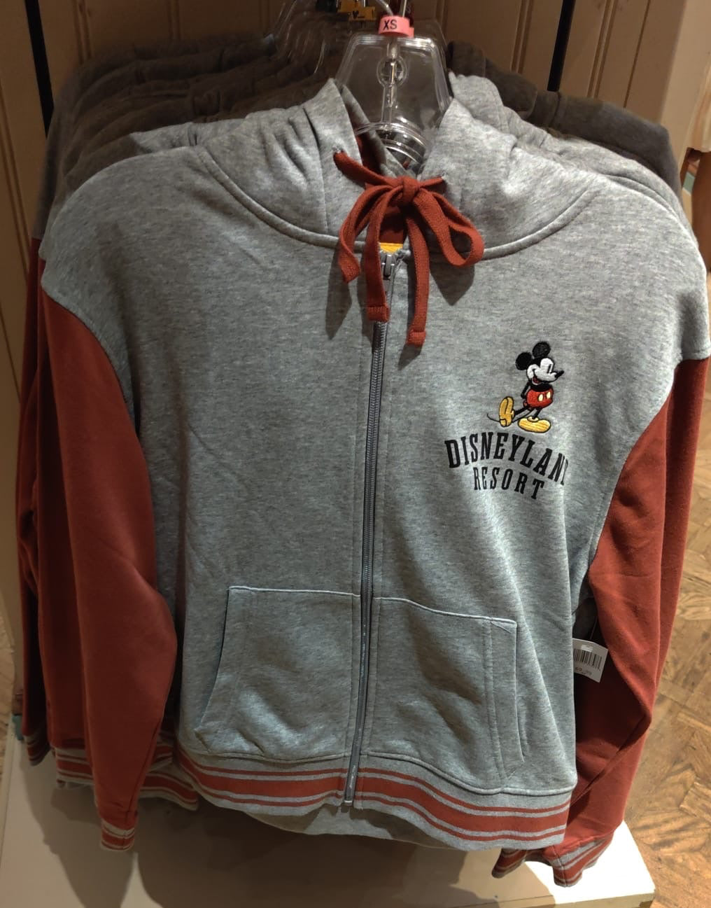 Disneyland Resort Hoodie - 3 Styles Available