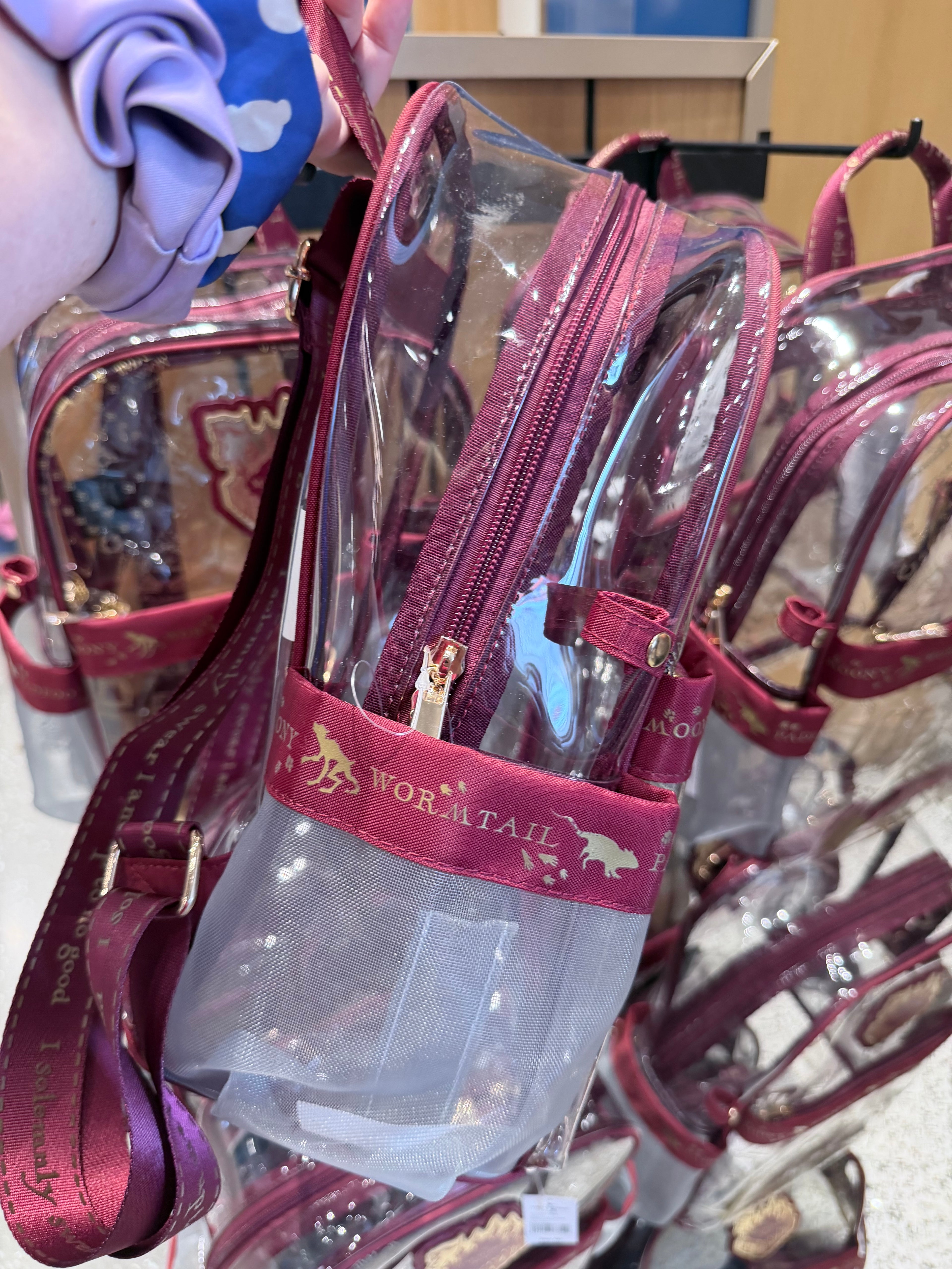 Harry Potter The Marauder’s Map Clear Backpack