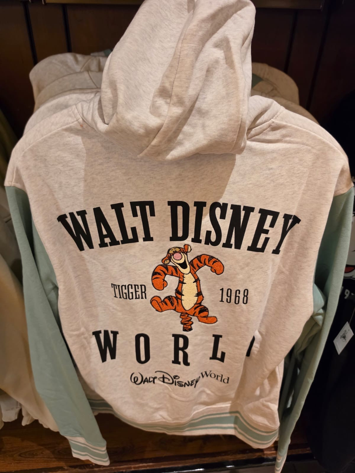 Walt Disney World Hoodie