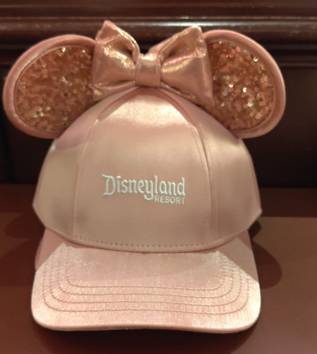 Disneyland Ear Hat