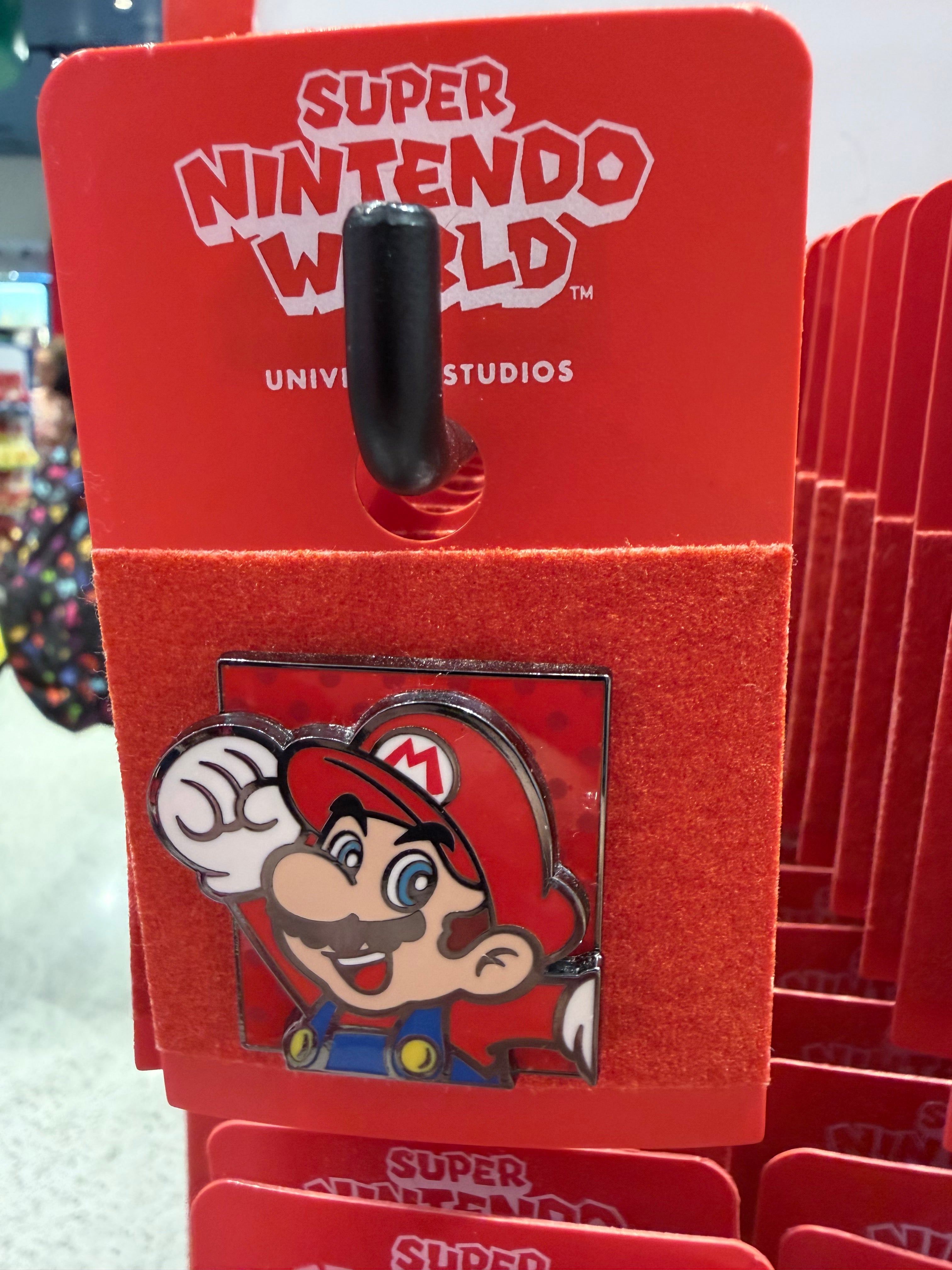 Super Nintendo World Character Pin
