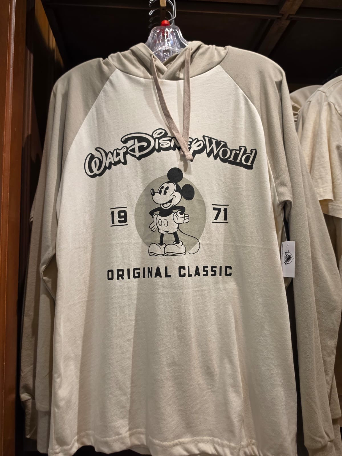 Walt Disney World Long Sleeved Light Hoodie