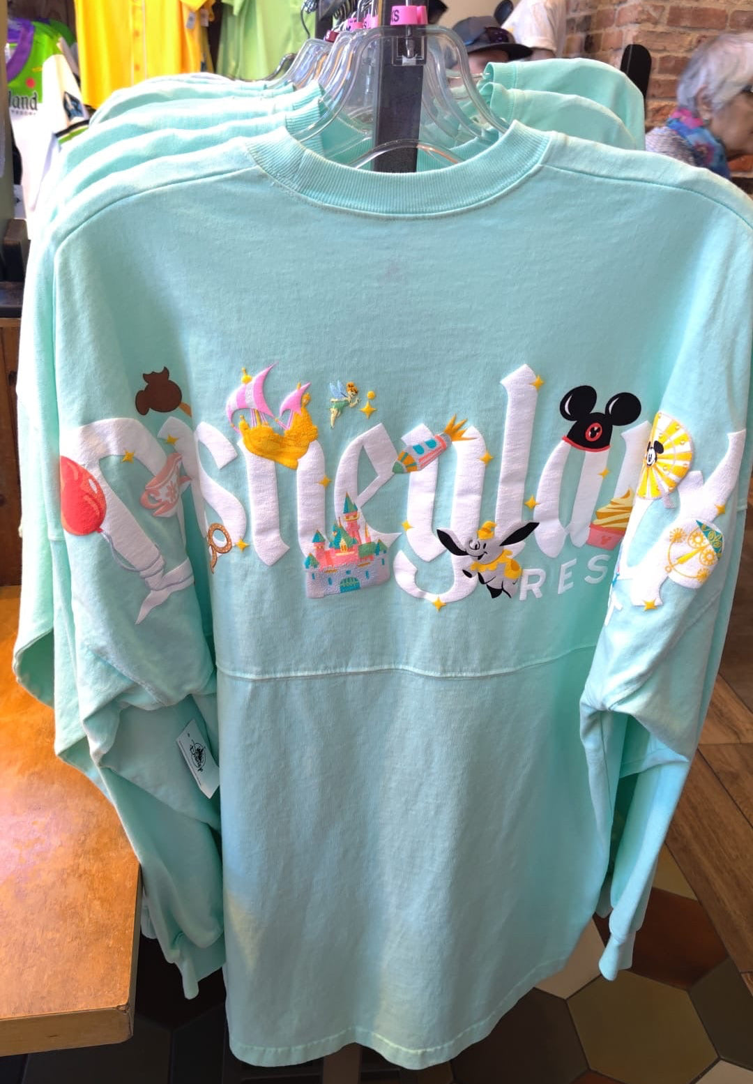 Disneyland Spirit Jersey