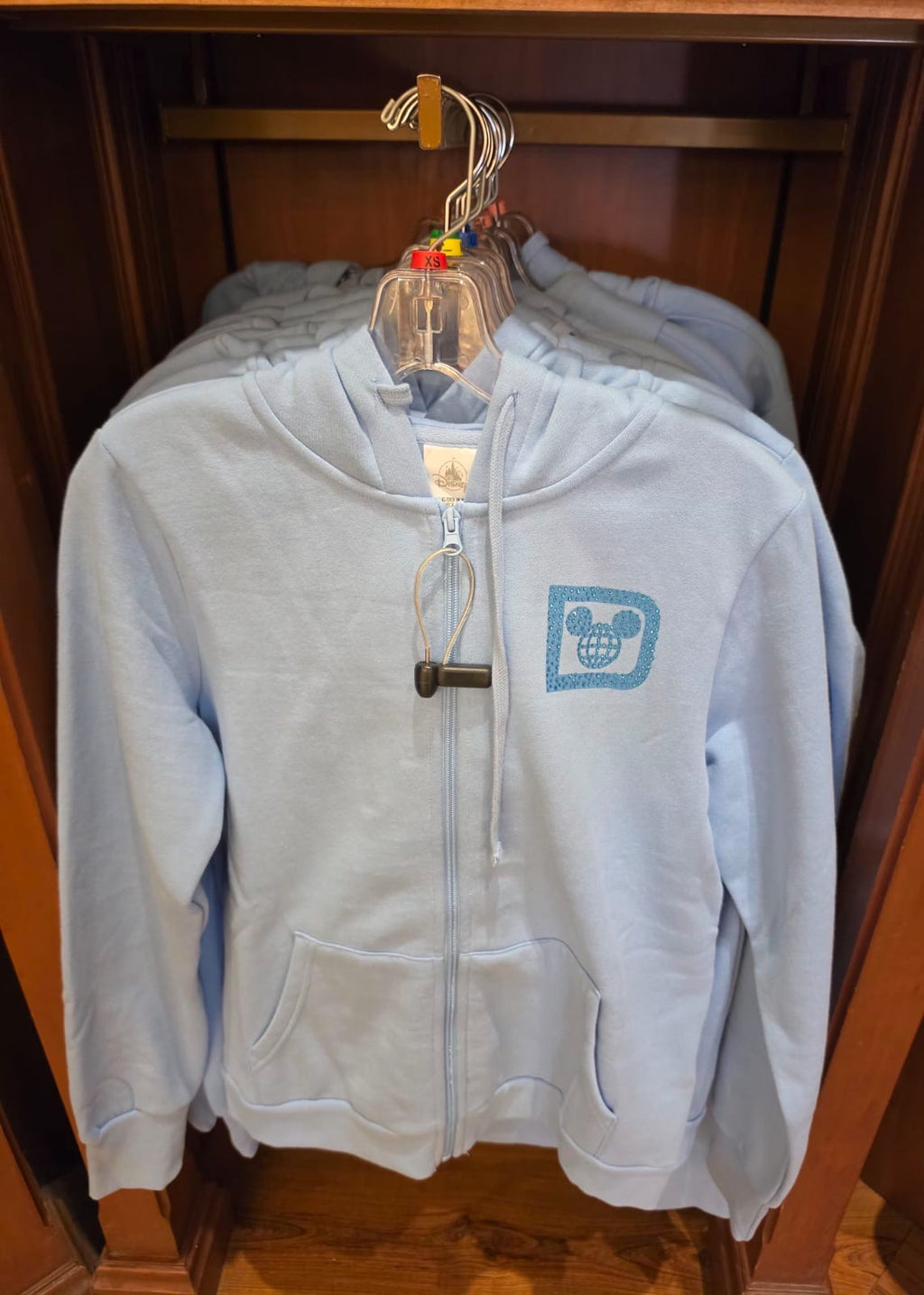 Walt Disney World - Mickey, Donald or Daisy Hoodie